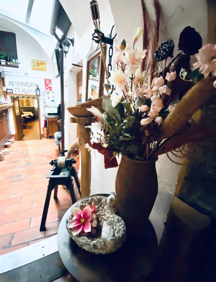 فندق Kristinka Český Krumlov المظهر الخارجي الصورة